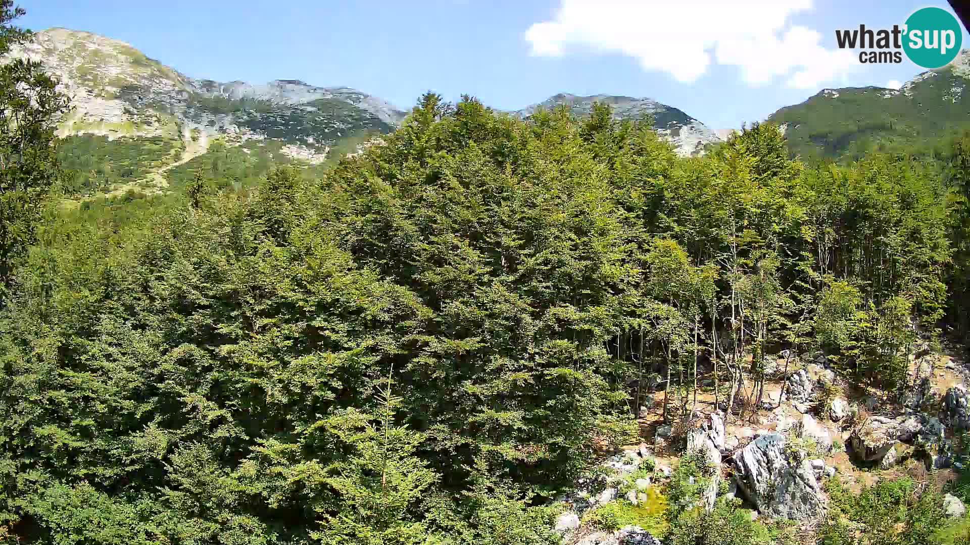 PLANINA RAZOR Live Cam (1315) | vista su Vogel e Globoko