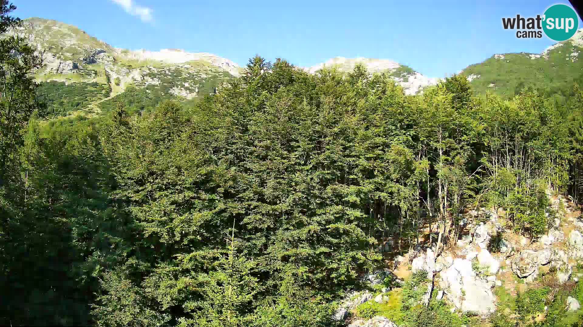 Webcam PLANINA RAZOR (1315) | Blick auf Vogel und Globoko