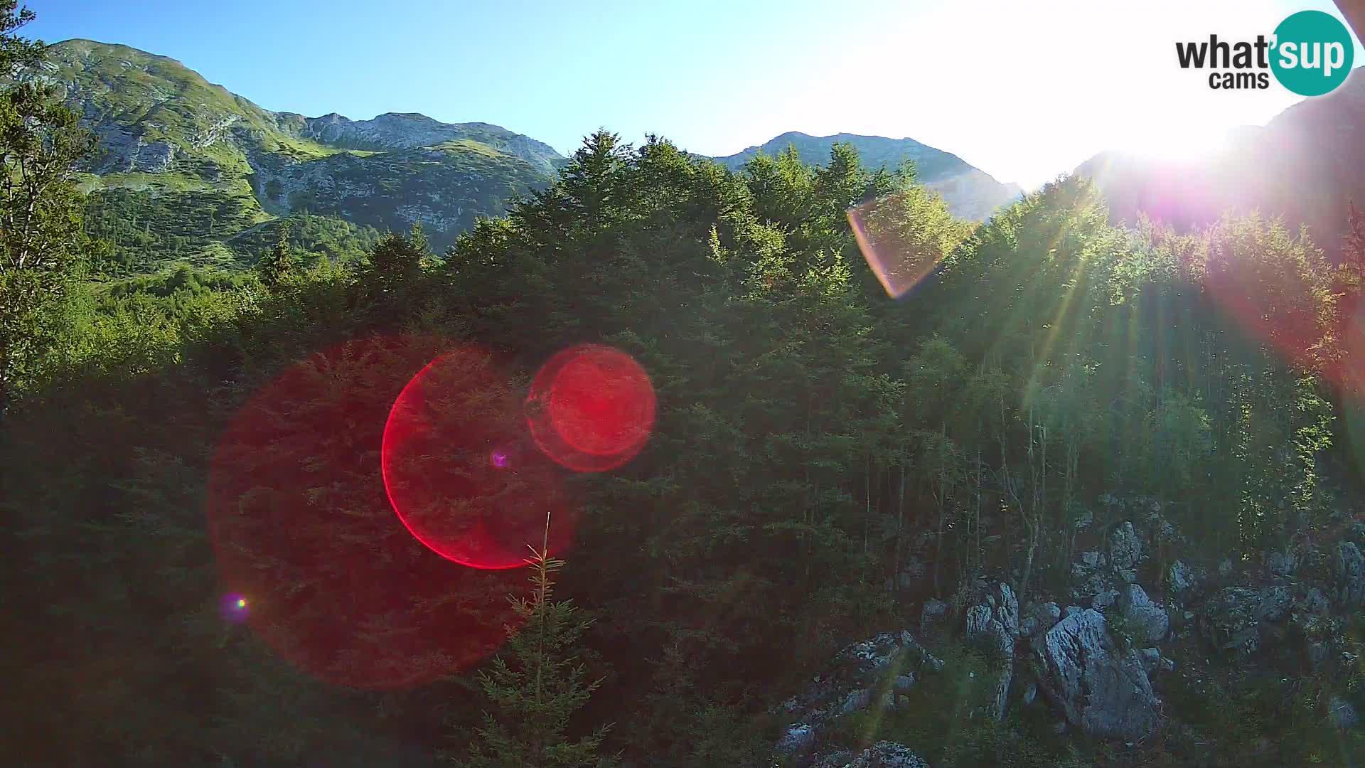 PLANINA RAZOR web kamera (1315) | pogled na Vogel i Globoko