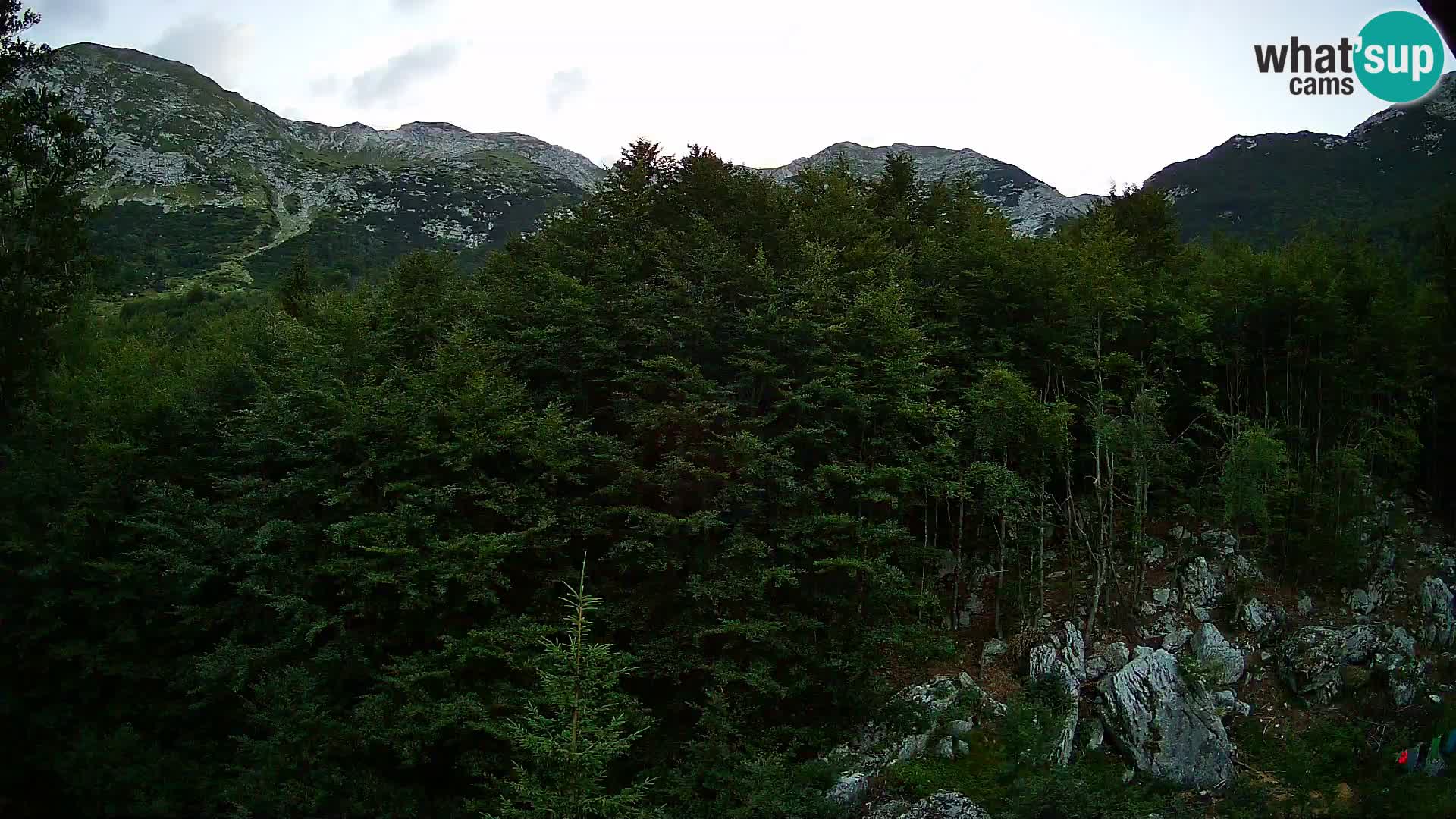 PLANINA RAZOR Live Cam (1315) | vista su Vogel e Globoko