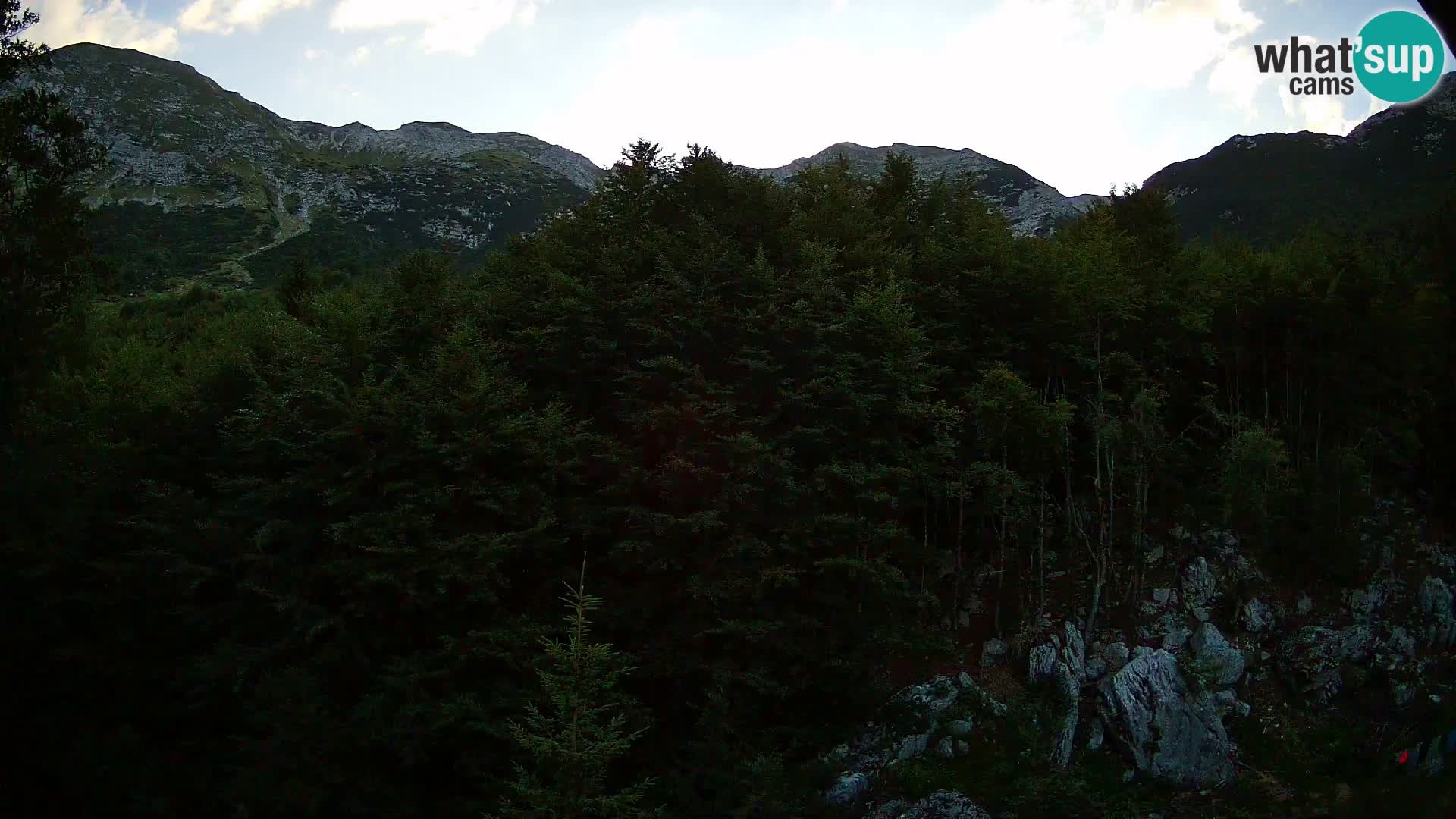 Webcam PLANINA RAZOR (1315) | Blick auf Vogel und Globoko