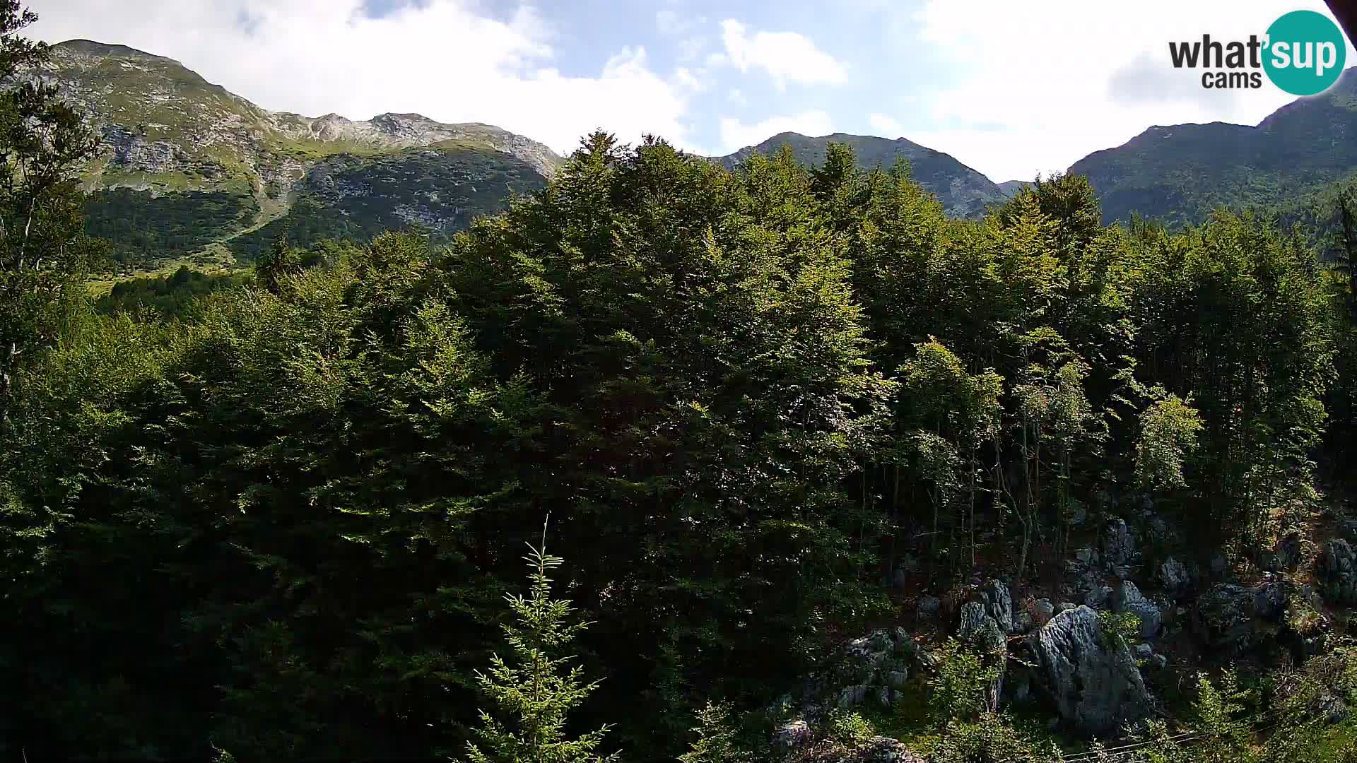 PLANINA RAZOR kamera (1315) | pogled na Vogel in Globoko