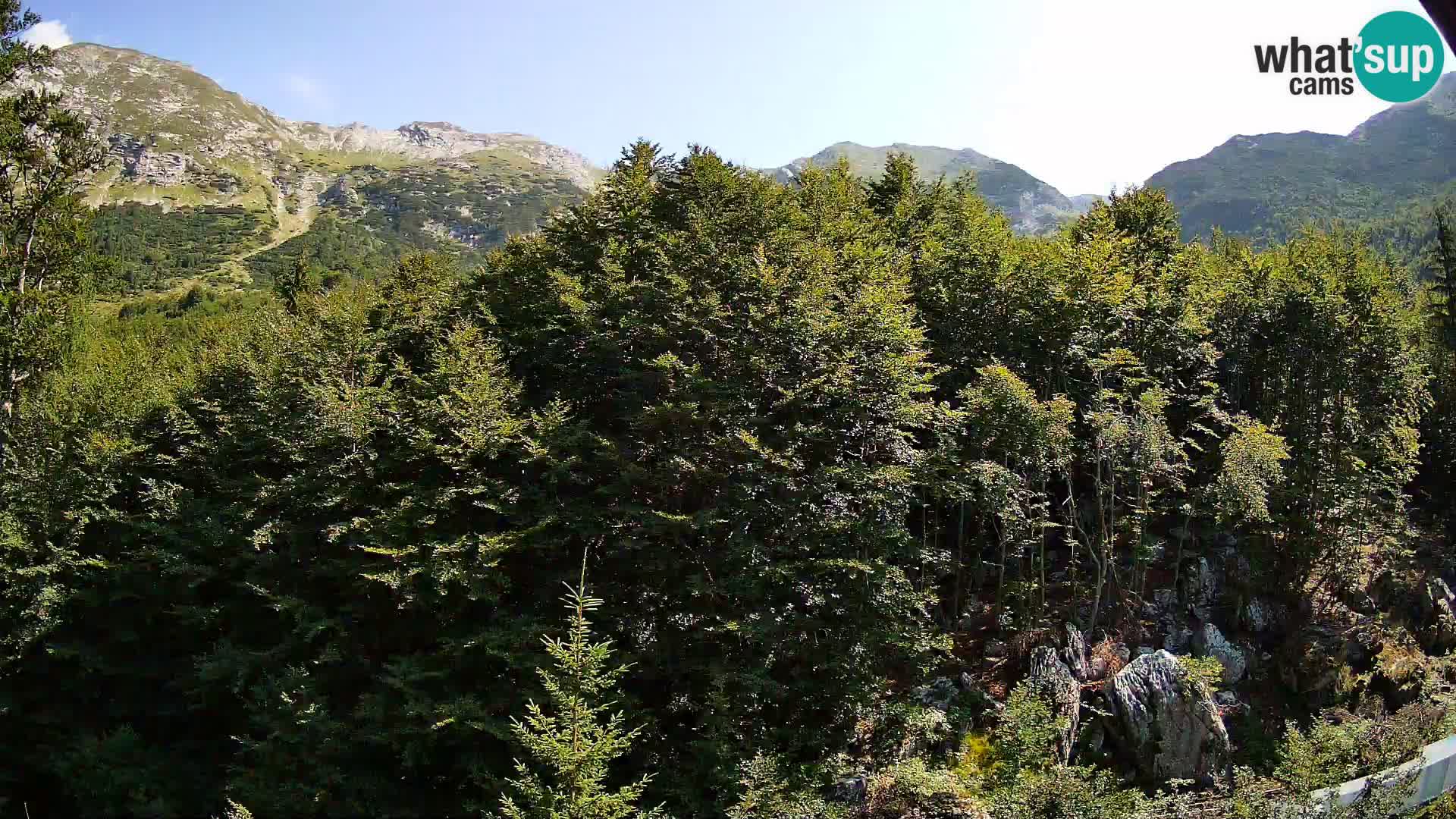 PLANINA RAZOR Live Cam (1315) | vista su Vogel e Globoko