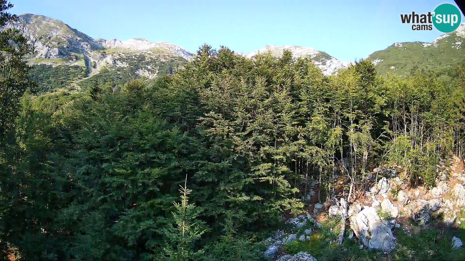 Livecam PLANINA RAZOR (1315) | vue sur Vogel et Globoko