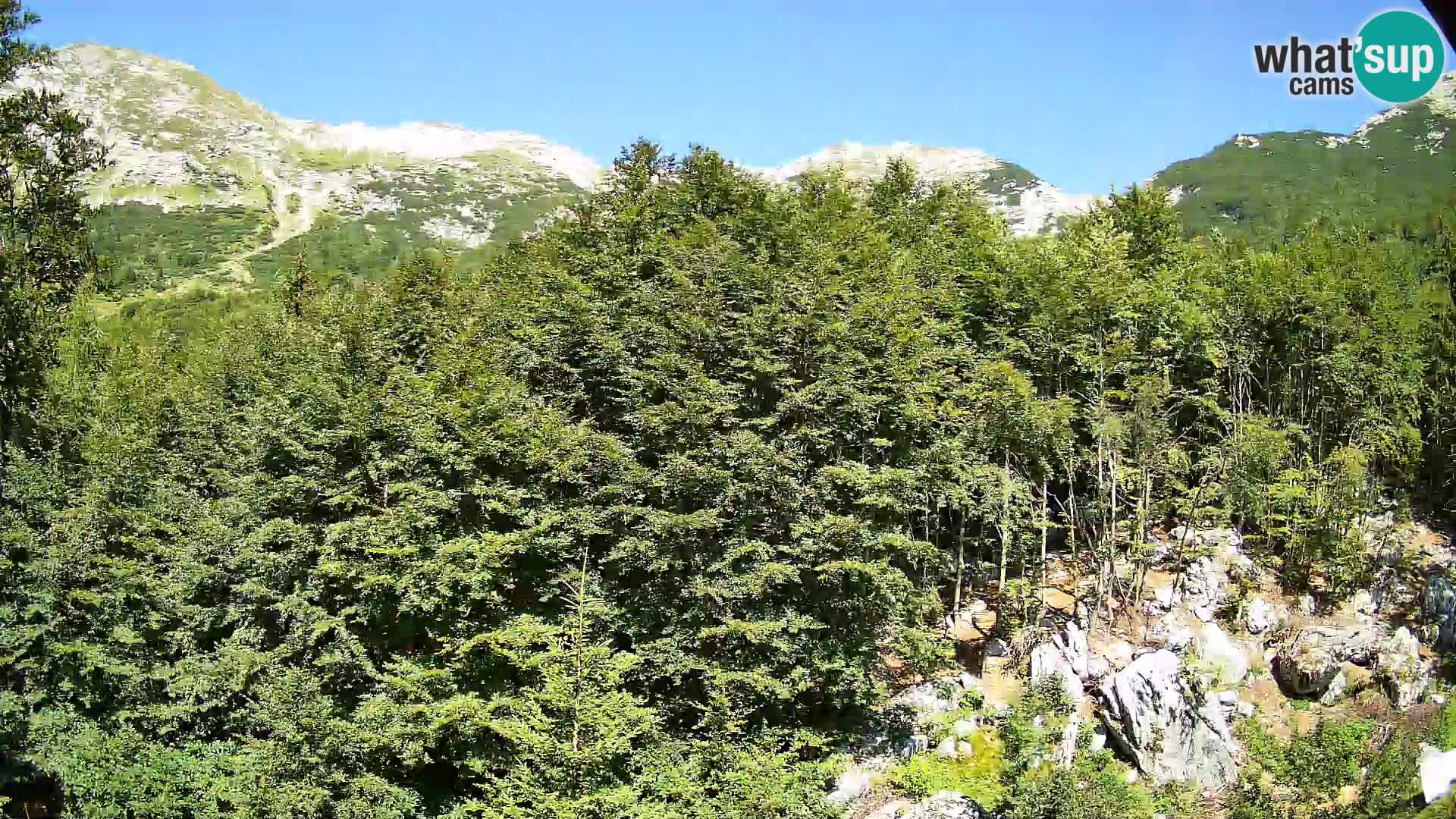 Cámara web PLANINA RAZOR (1315) | vista a Vogel y Globoko