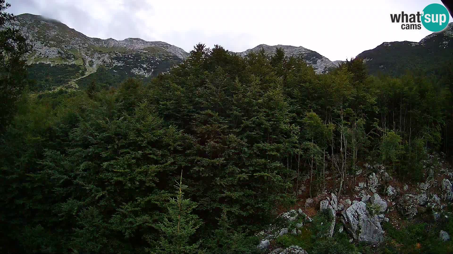 PLANINA RAZOR Live Cam (1315) | vista su Vogel e Globoko