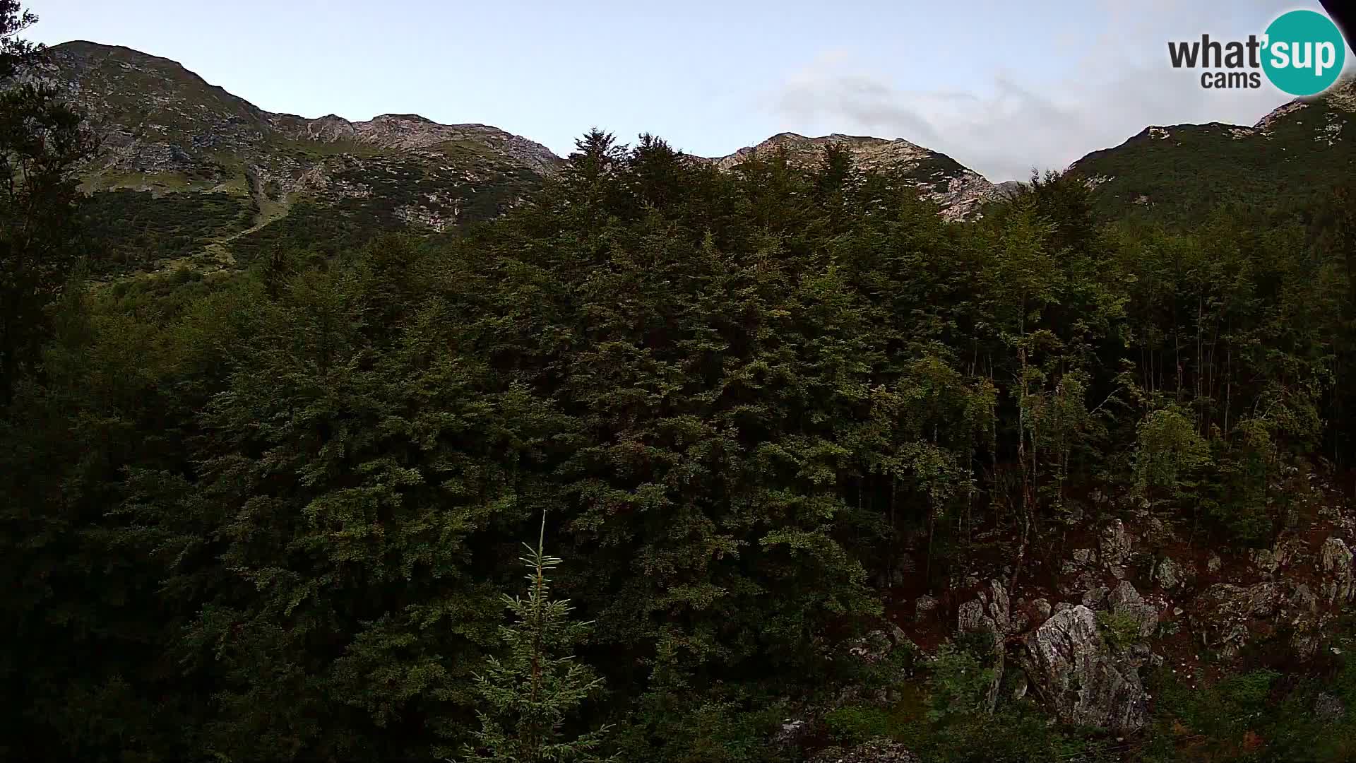 Livecam PLANINA RAZOR (1315) | vue sur Vogel et Globoko