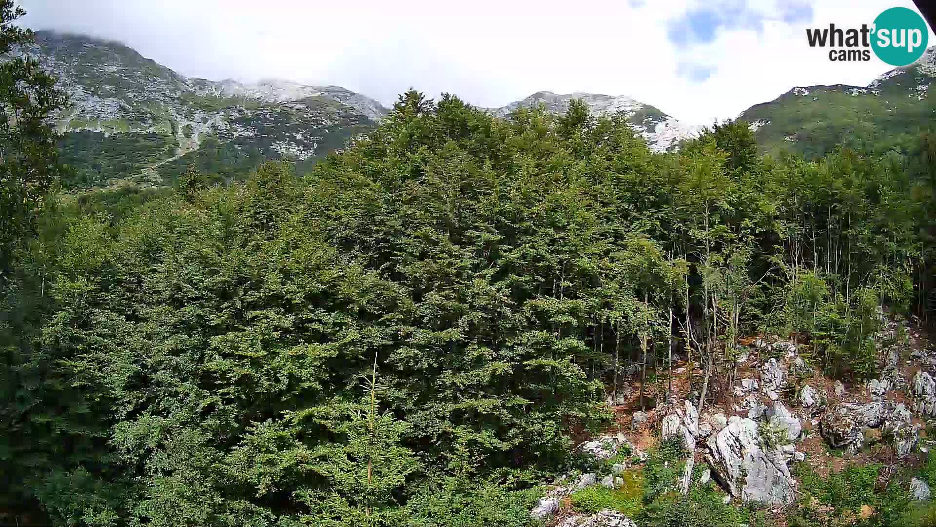 PLANINA RAZOR Live Cam (1315) | vista su Vogel e Globoko