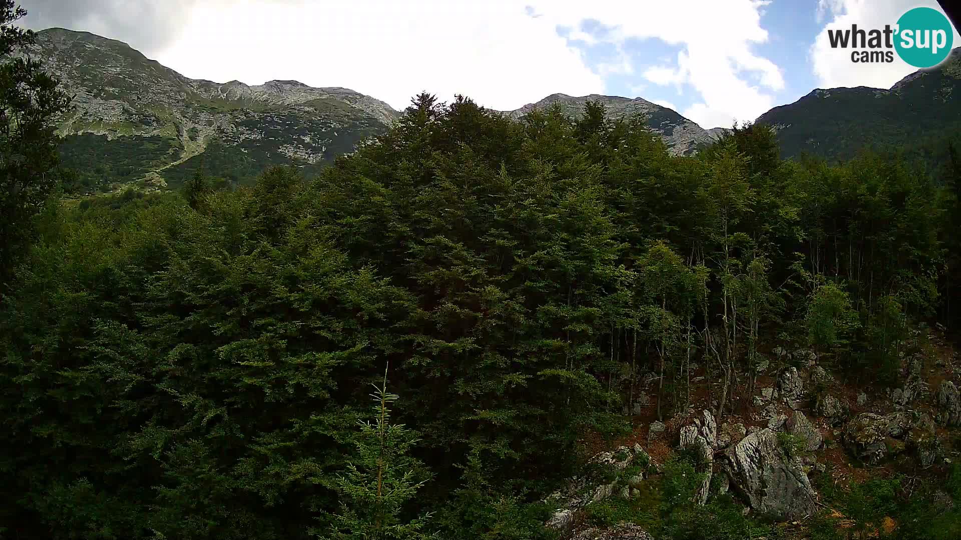 PLANINA RAZOR webcam (1315) | view to Vogel and Globoko
