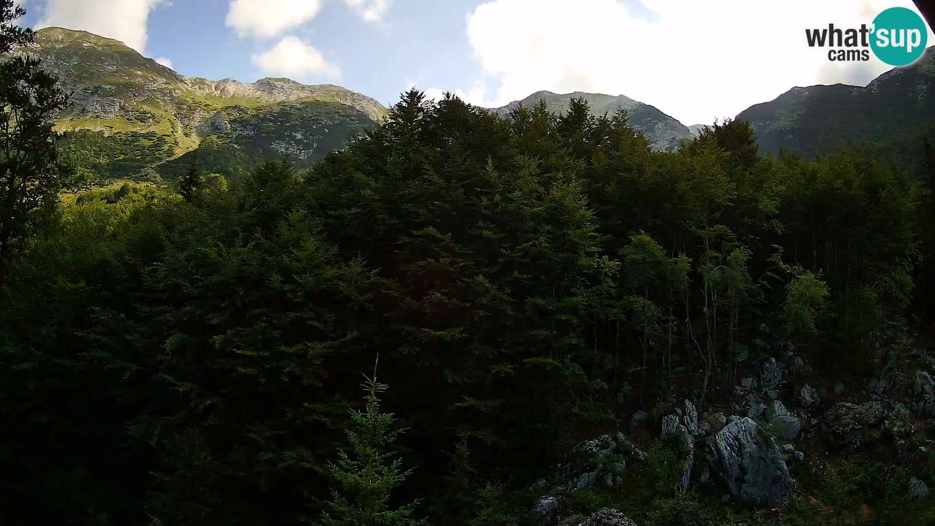 PLANINA RAZOR kamera (1315) | pogled na Vogel in Globoko