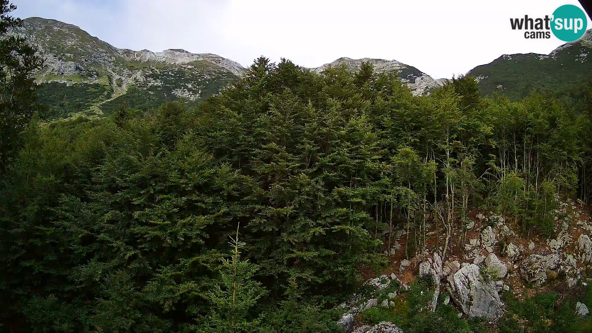 PLANINA RAZOR webcam (1315) | view to Vogel and Globoko