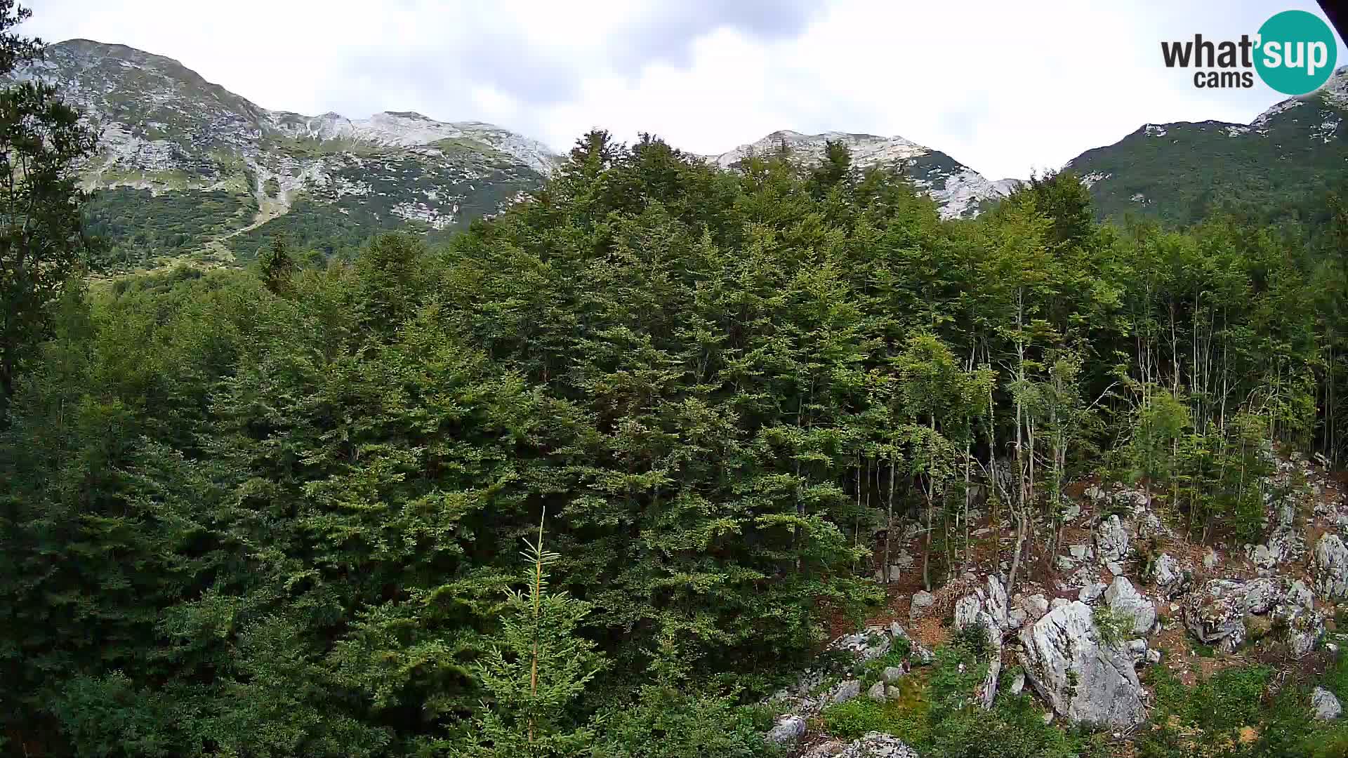 Webcam PLANINA RAZOR (1315) | Blick auf Vogel und Globoko