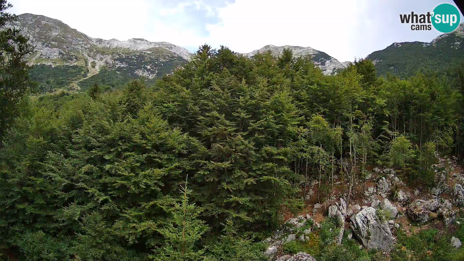 Cámara web PLANINA RAZOR (1315) | vista a Vogel y Globoko