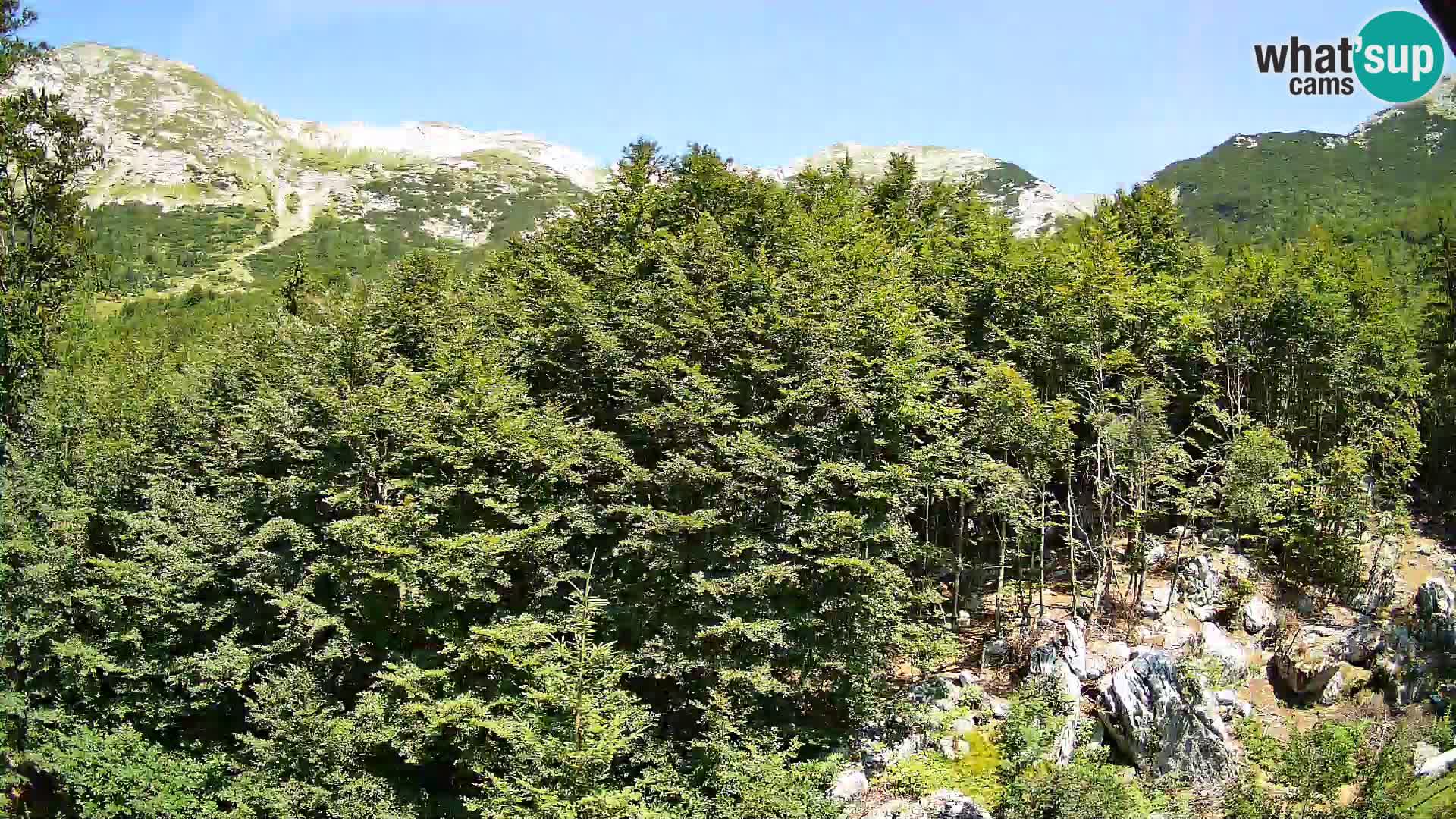 Livecam PLANINA RAZOR (1315) | vue sur Vogel et Globoko