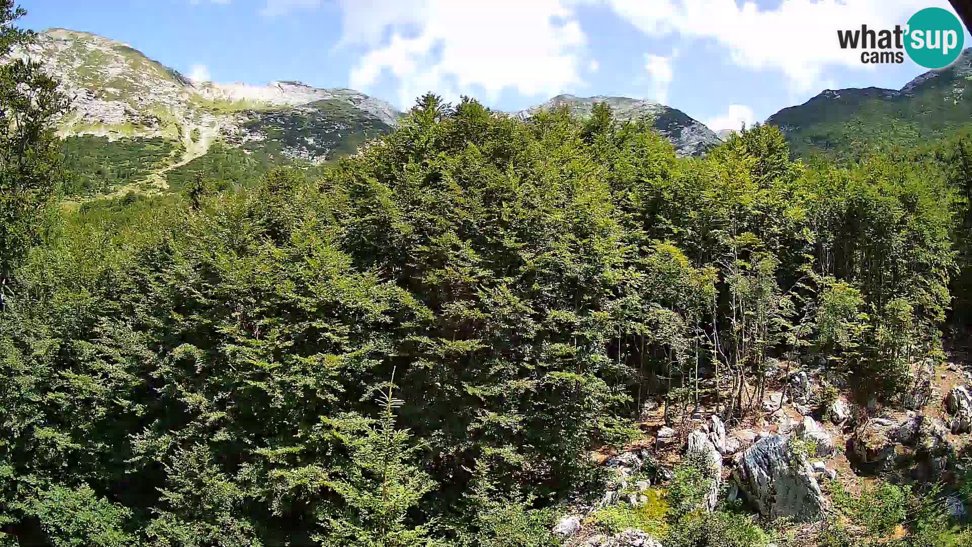 PLANINA RAZOR webcam (1315) | view to Vogel and Globoko
