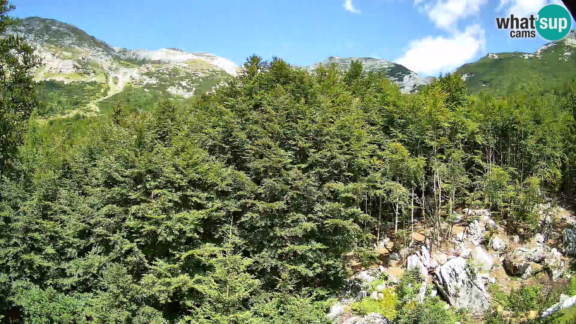 PLANINA RAZOR webcam (1315) | view to Vogel and Globoko