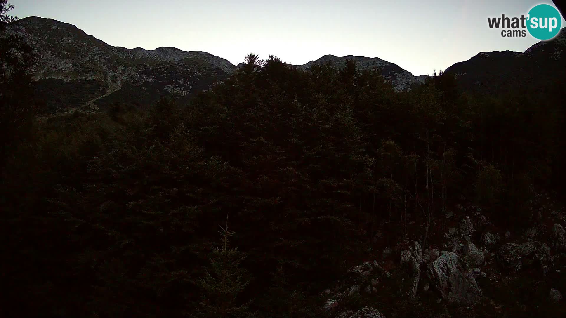 Webcam PLANINA RAZOR (1315) | Blick auf Vogel und Globoko