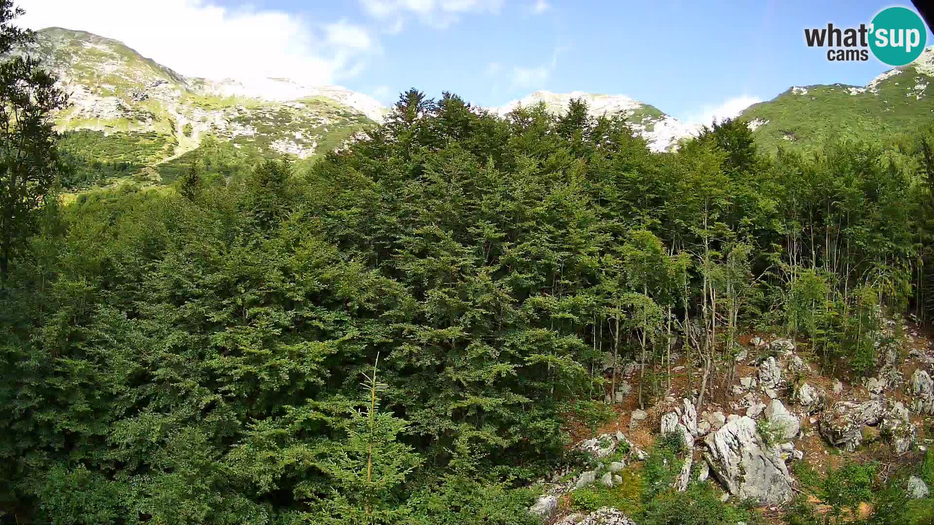 Webcam PLANINA RAZOR (1315) | Blick auf Vogel und Globoko