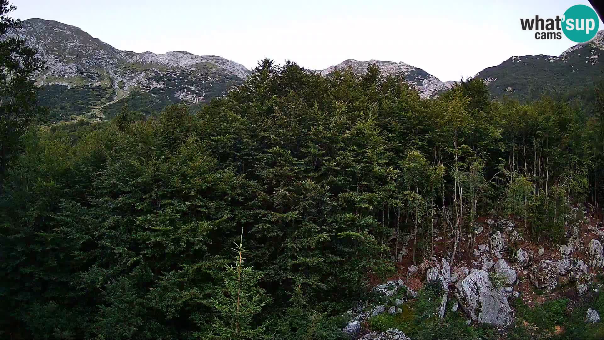 PLANINA RAZOR Live Cam (1315) | vista su Vogel e Globoko