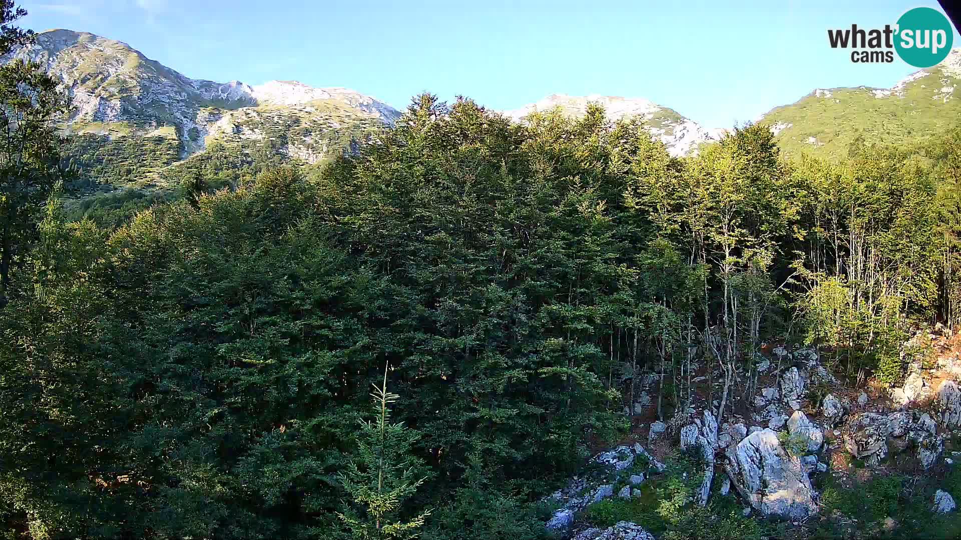 Webcam PLANINA RAZOR (1315) | Blick auf Vogel und Globoko