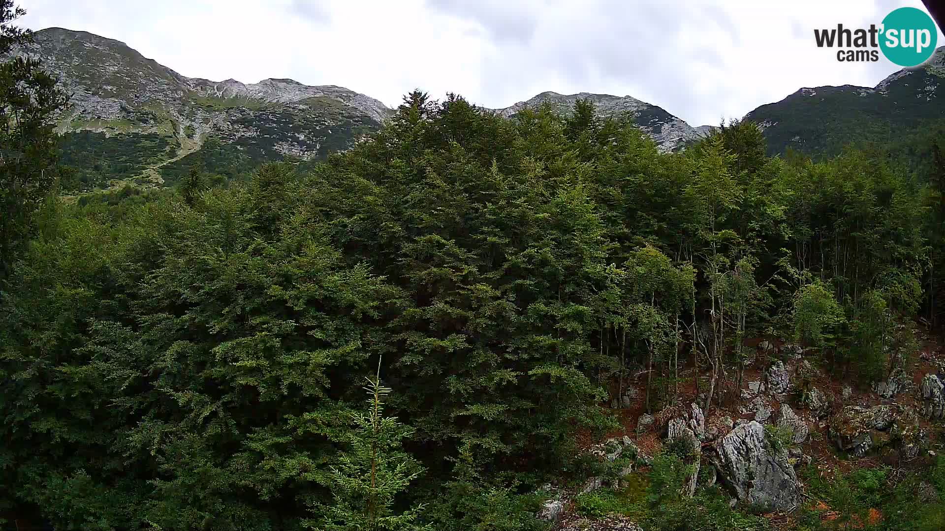 Livecam PLANINA RAZOR (1315) | vue sur Vogel et Globoko