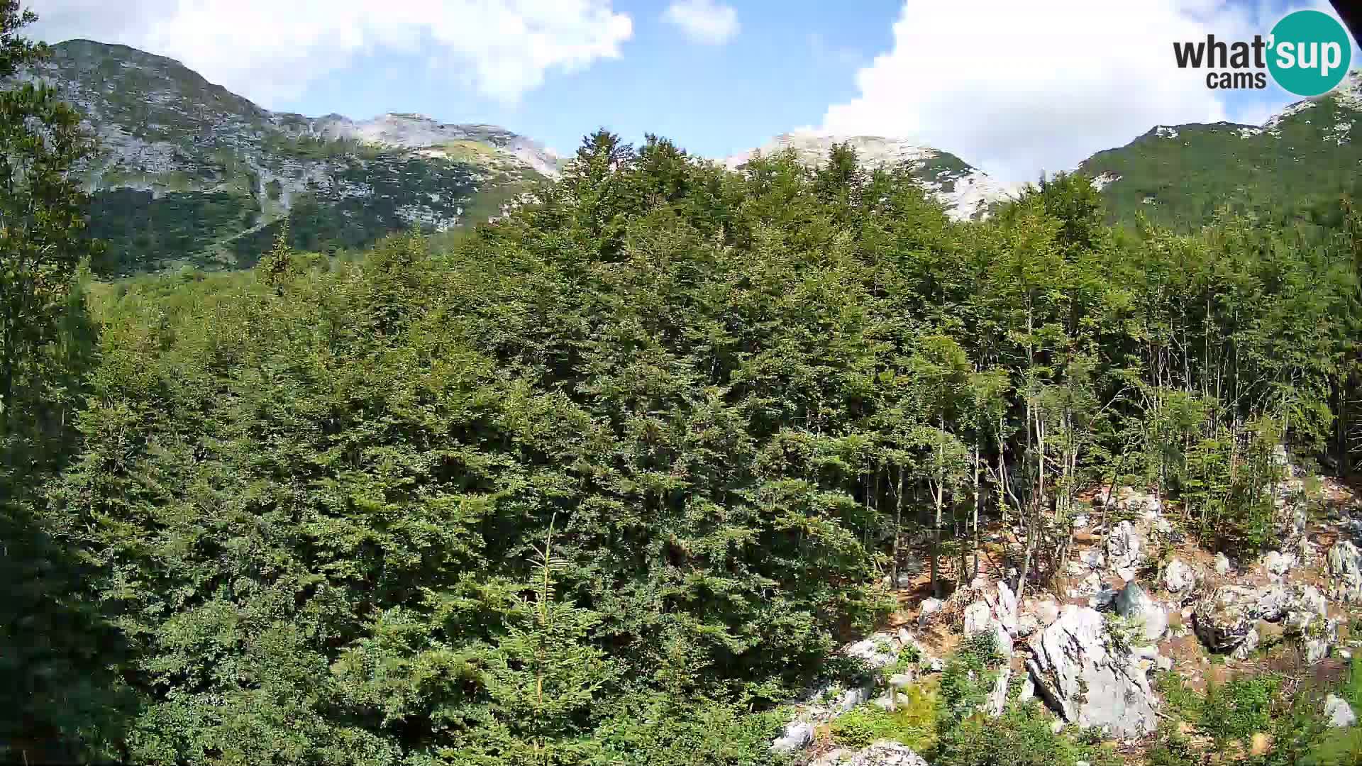 Cámara web PLANINA RAZOR (1315) | vista a Vogel y Globoko