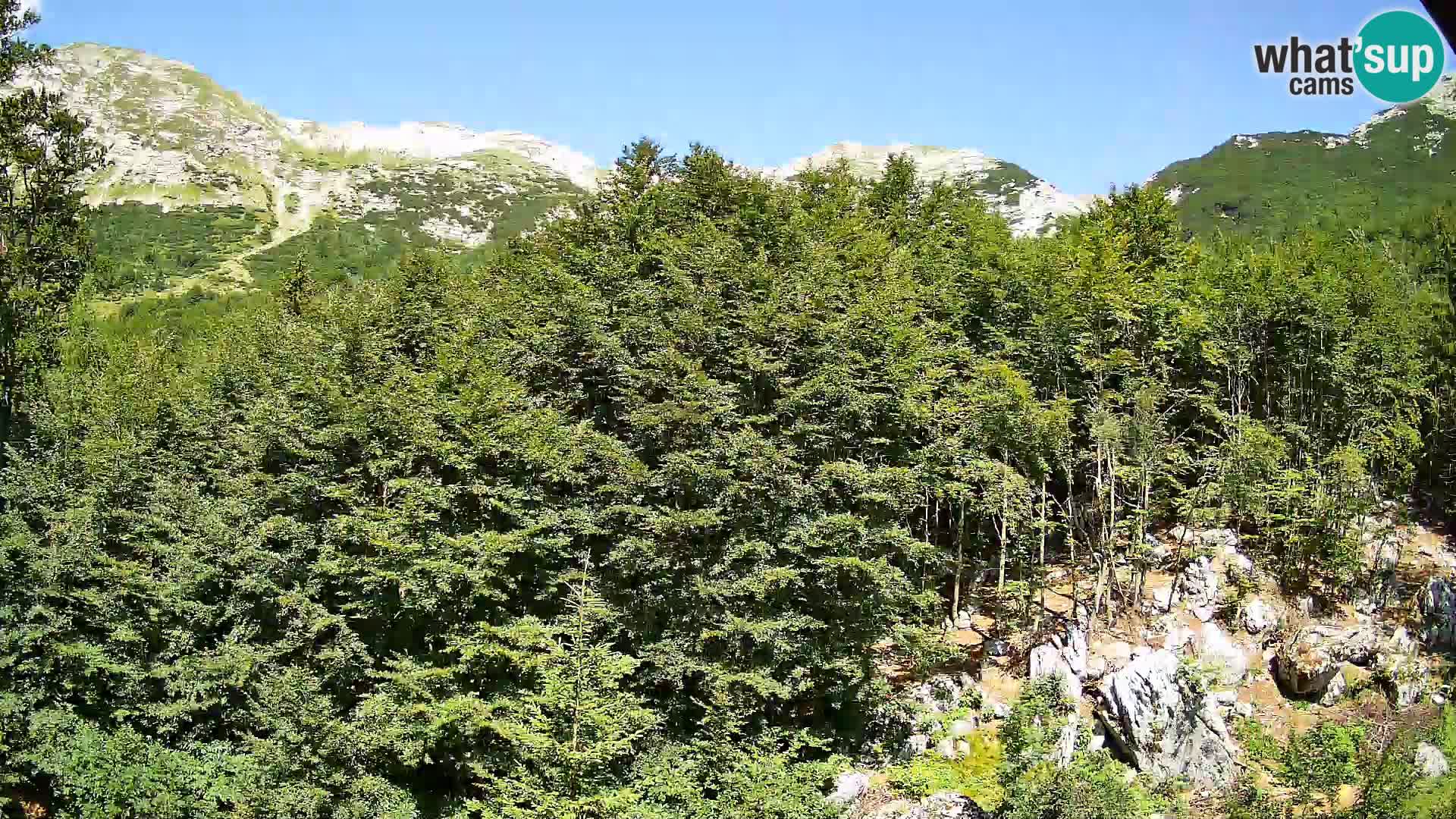 PLANINA RAZOR webcam (1315) | view to Vogel and Globoko