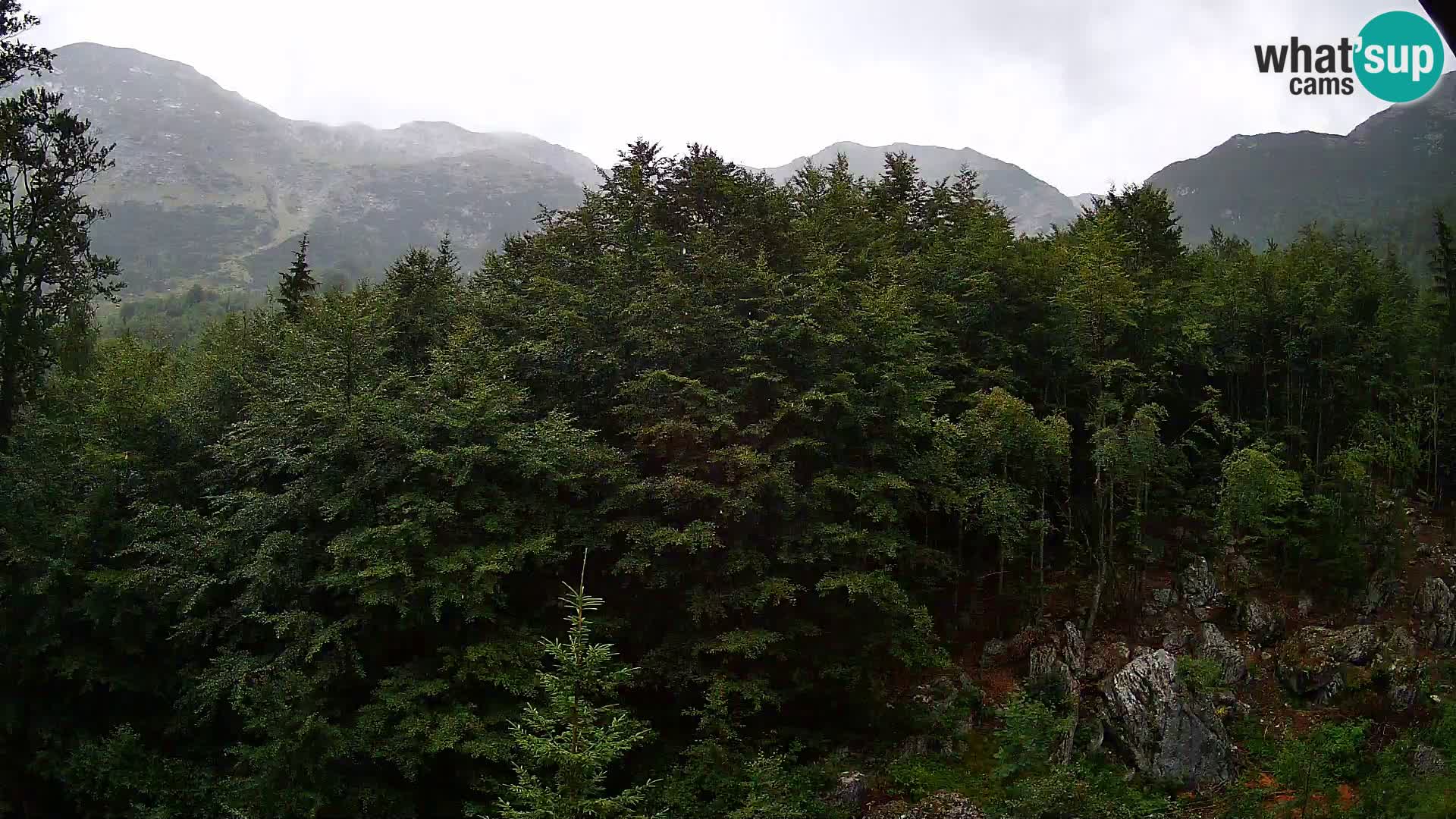 PLANINA RAZOR web kamera (1315) | pogled na Vogel i Globoko