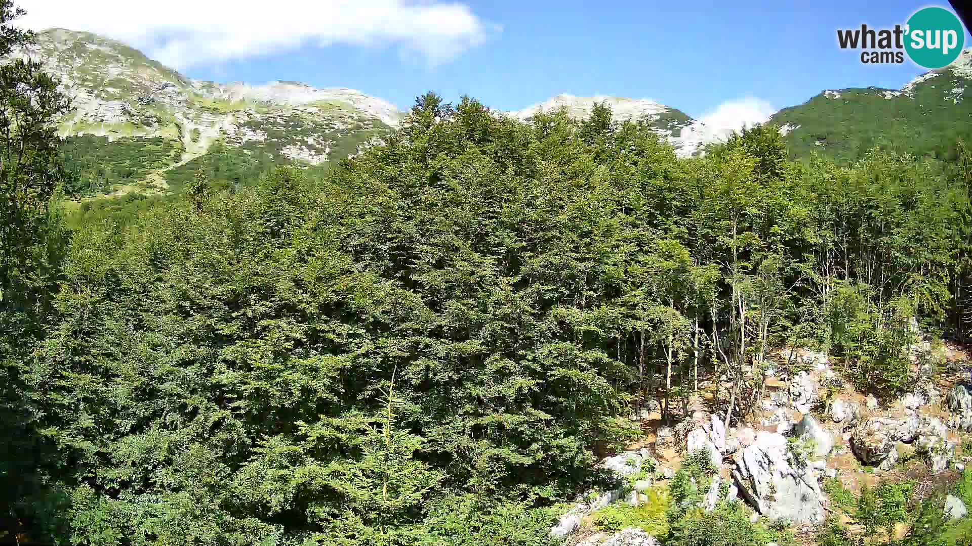PLANINA RAZOR webcam (1315) | view to Vogel and Globoko