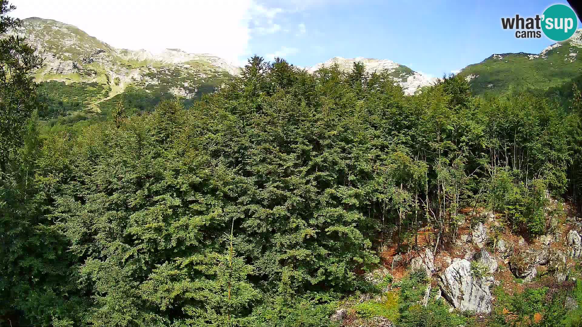 PLANINA RAZOR webcam (1315) | view to Vogel and Globoko