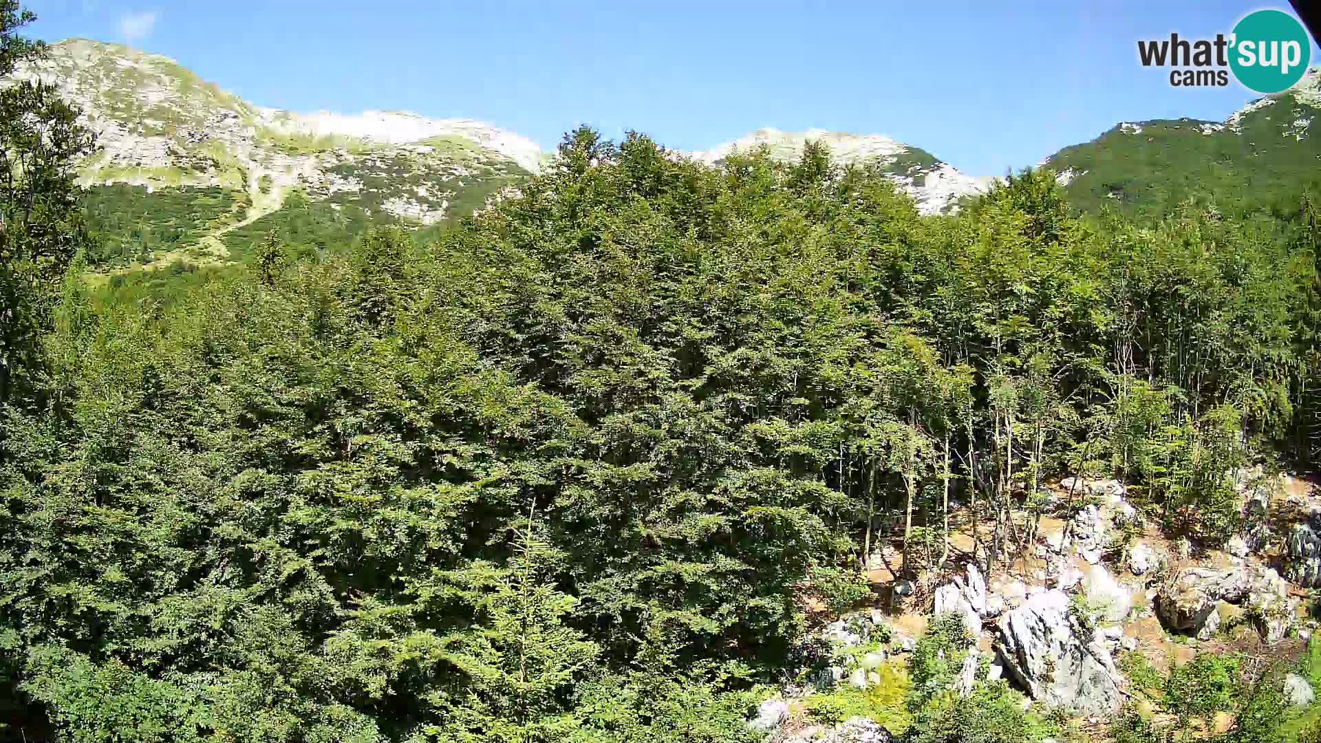 PLANINA RAZOR webcam (1315) | view to Vogel and Globoko