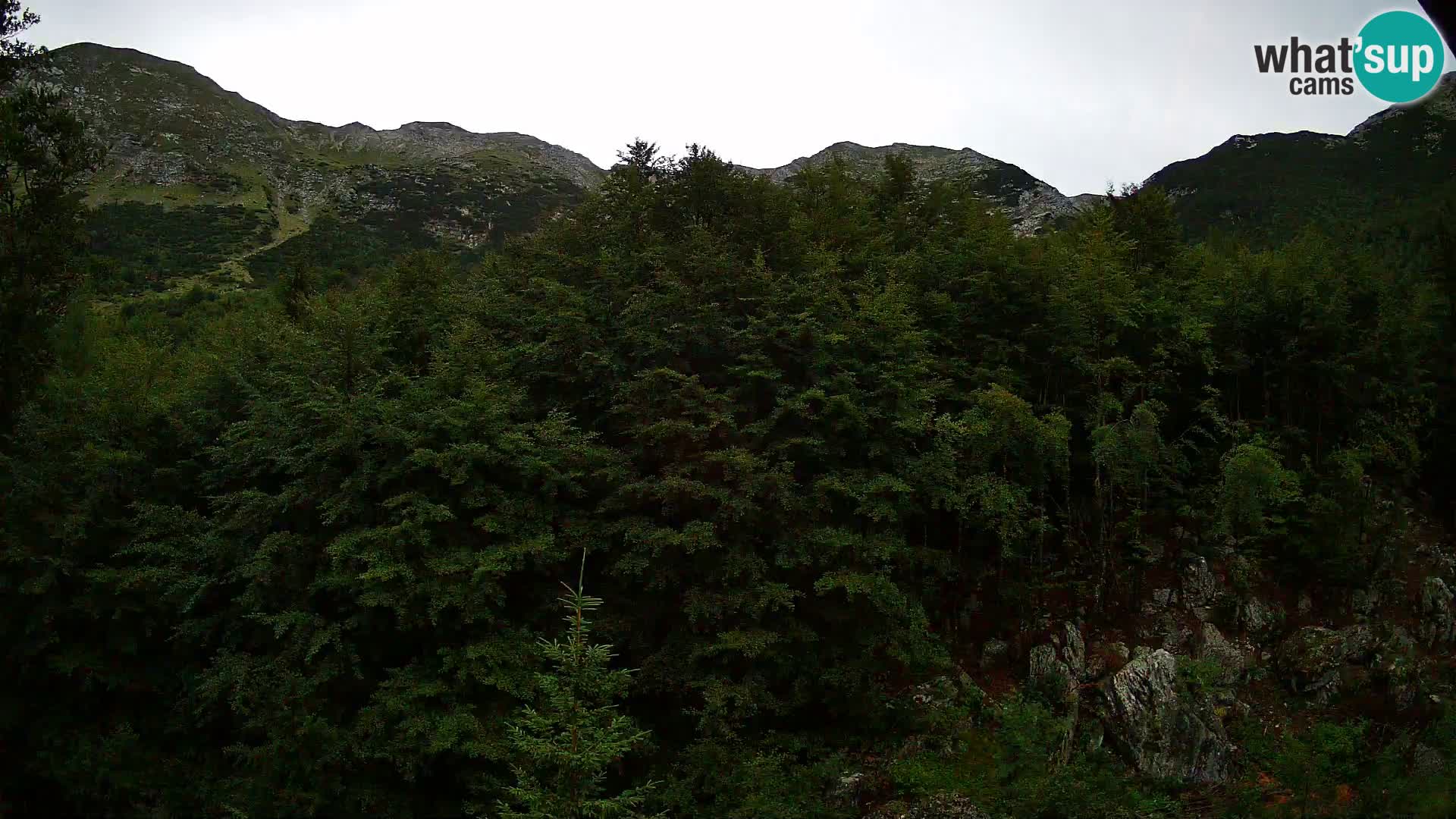 PLANINA RAZOR kamera (1315) | pogled na Vogel in Globoko