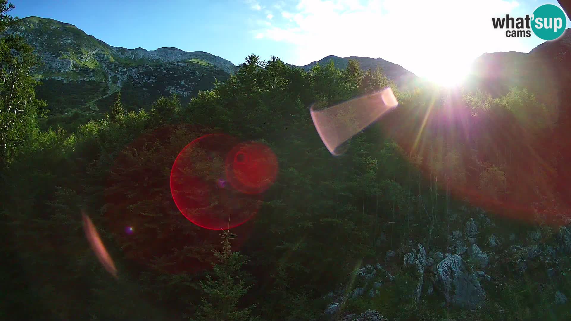Livecam PLANINA RAZOR (1315) | vue sur Vogel et Globoko