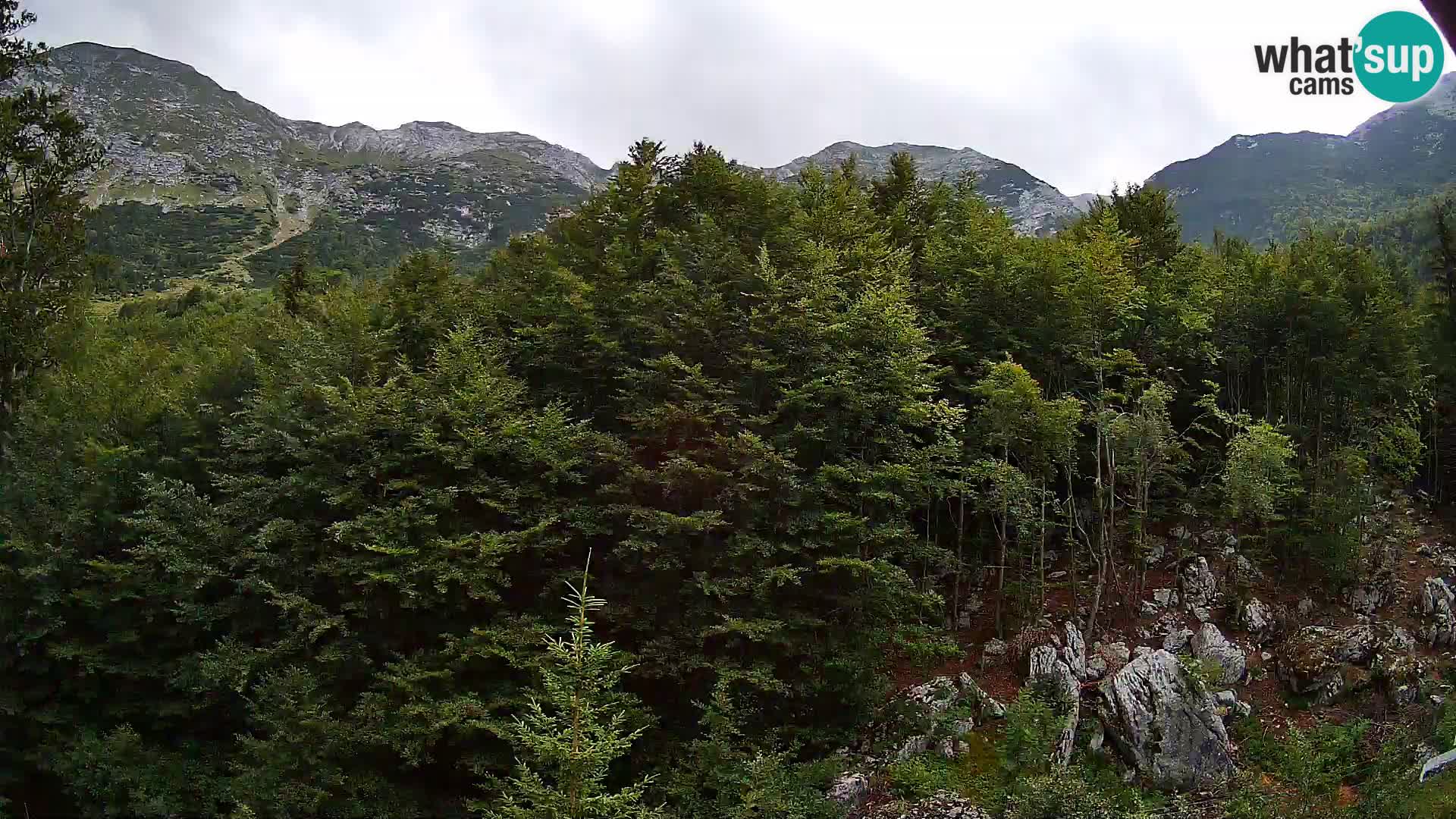 PLANINA RAZOR webcam (1315) | view to Vogel and Globoko