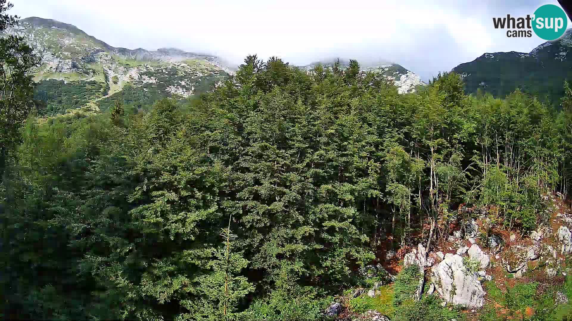 PLANINA RAZOR web kamera (1315) | pogled na Vogel i Globoko