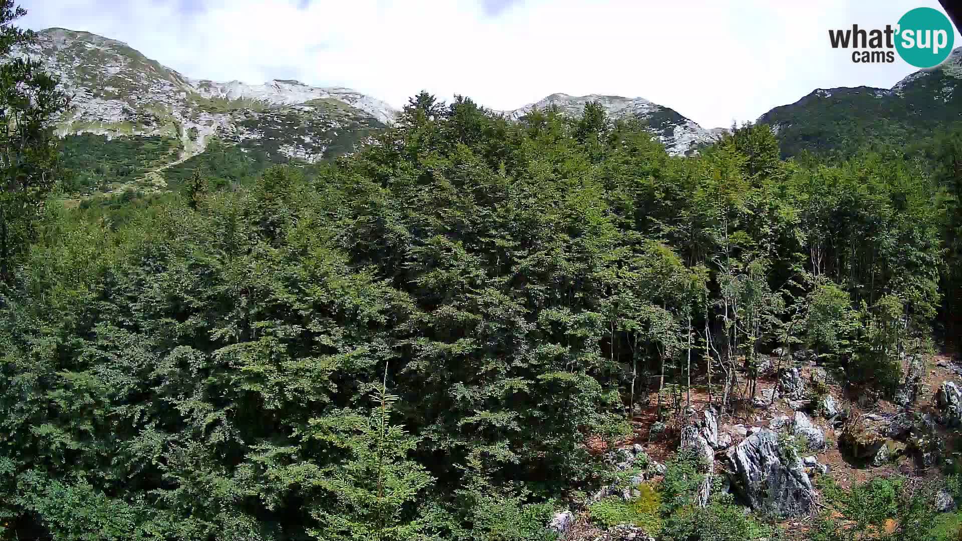 PLANINA RAZOR Live Cam (1315) | vista su Vogel e Globoko
