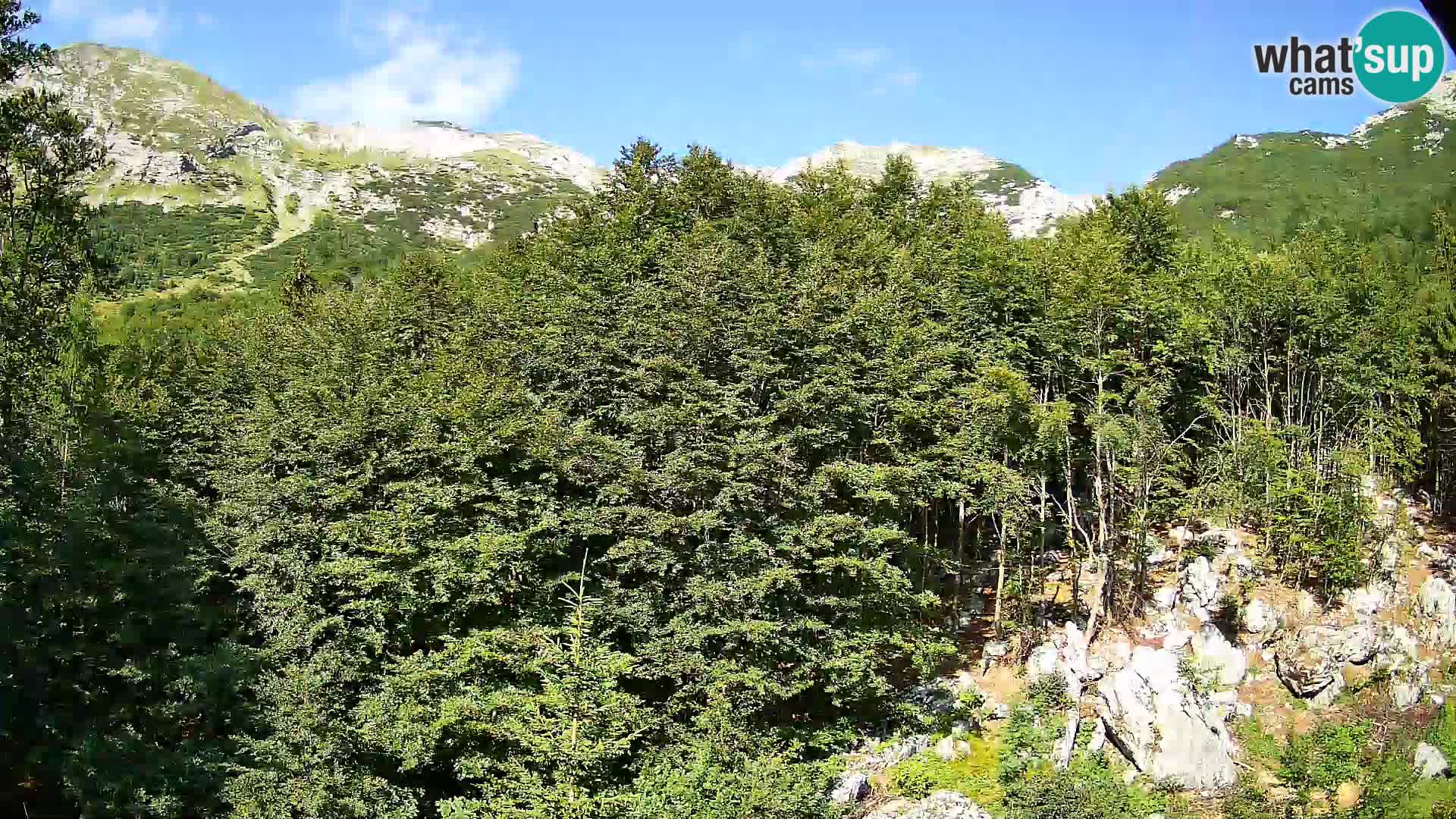 Webcam PLANINA RAZOR (1315) | Blick auf Vogel und Globoko