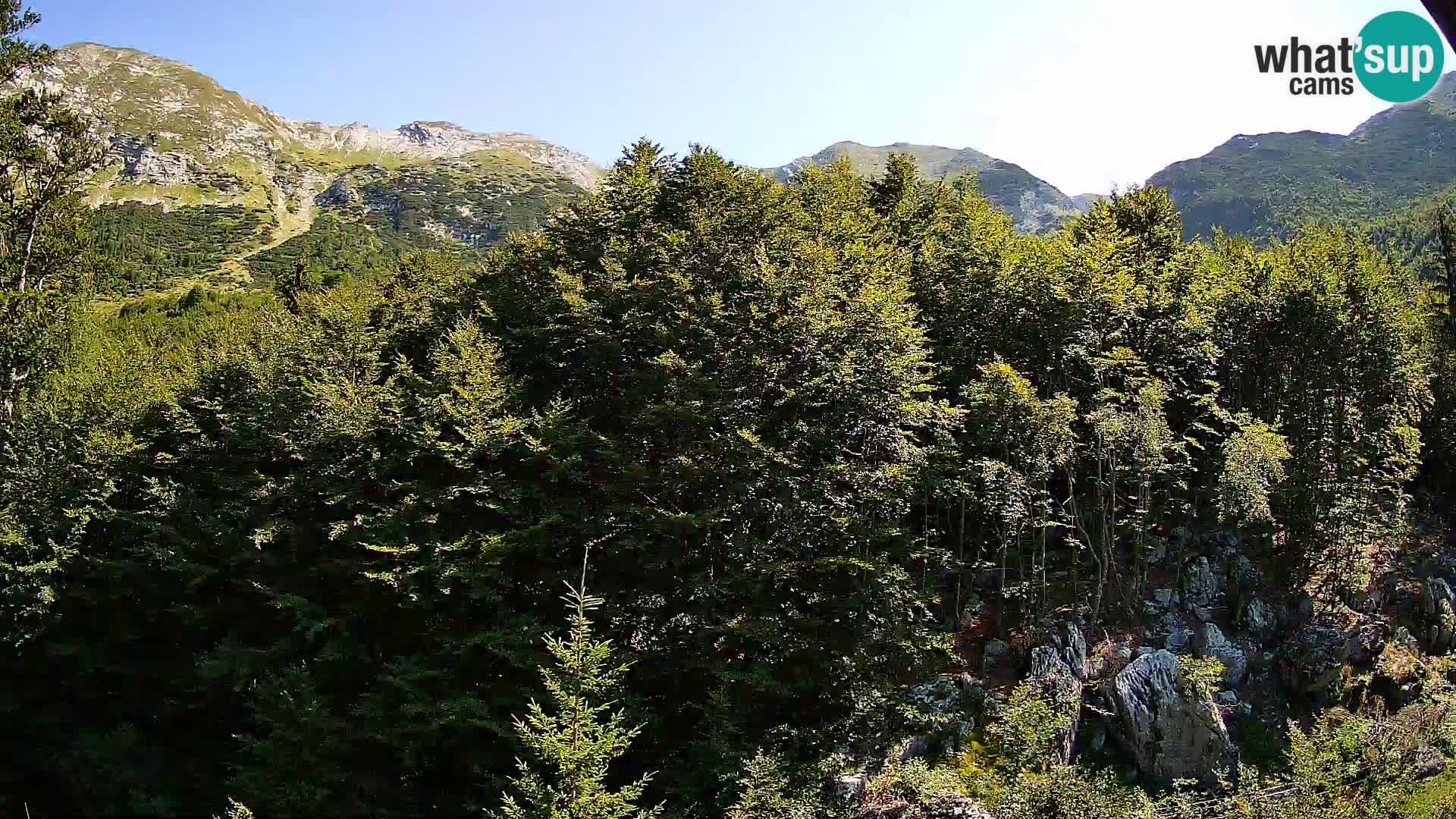 PLANINA RAZOR webcam (1315) | view to Vogel and Globoko