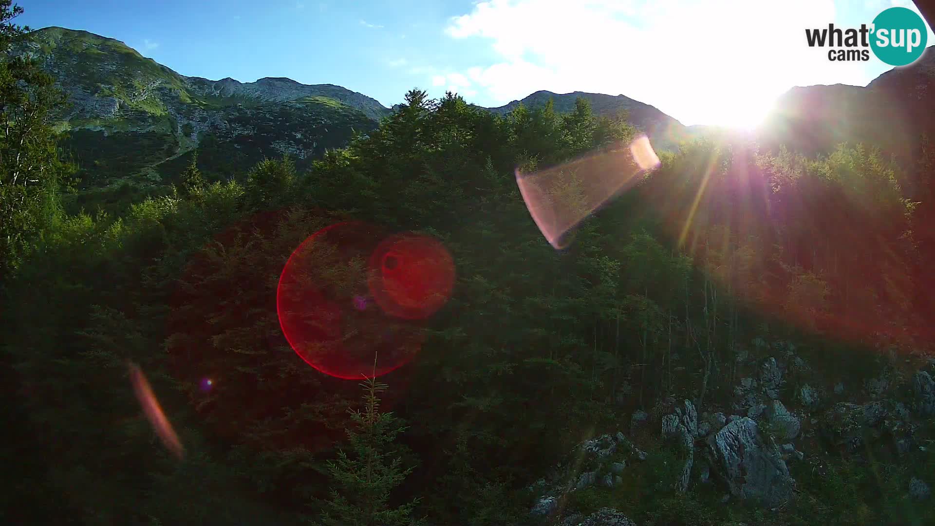 Livecam PLANINA RAZOR (1315) | vue sur Vogel et Globoko