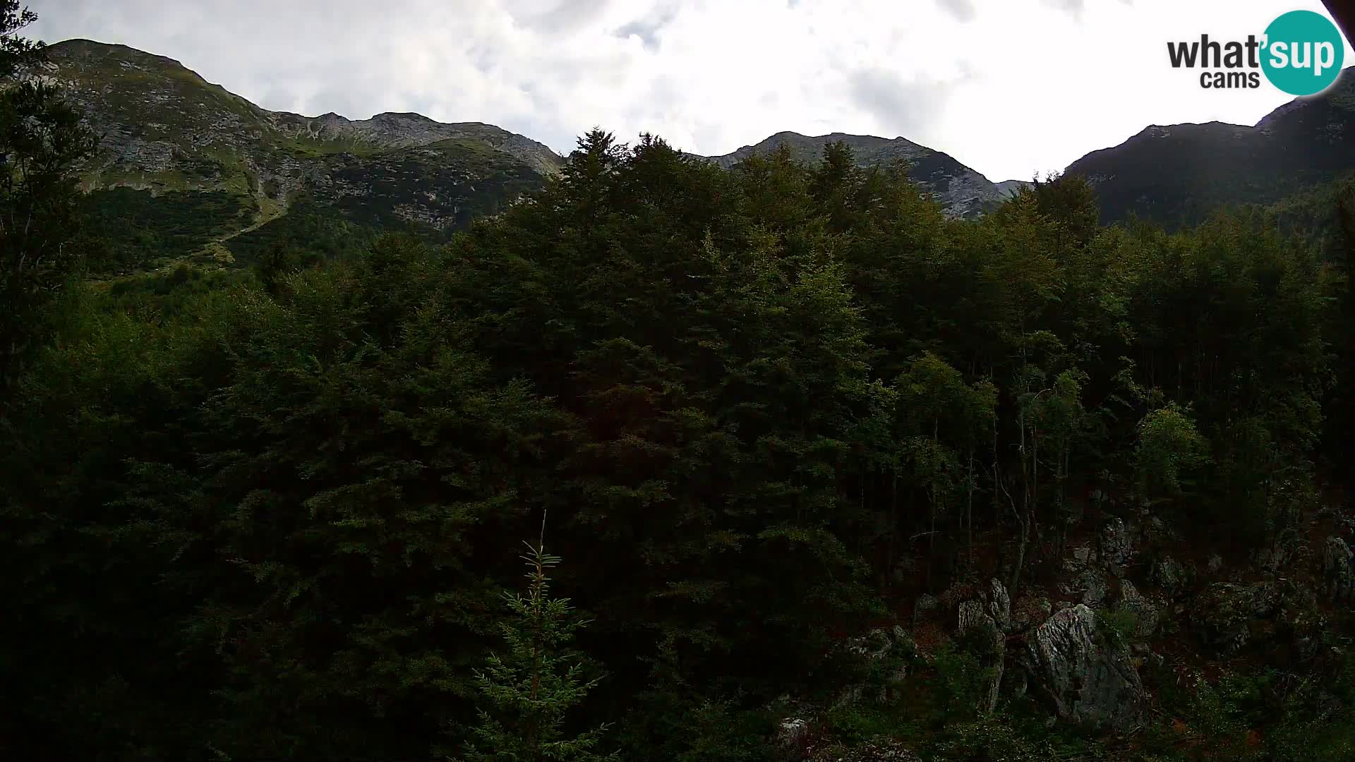 Livecam PLANINA RAZOR (1315) | vue sur Vogel et Globoko