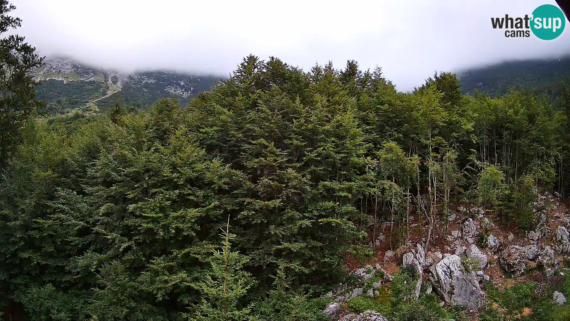 PLANINA RAZOR Live Cam (1315) | vista su Vogel e Globoko