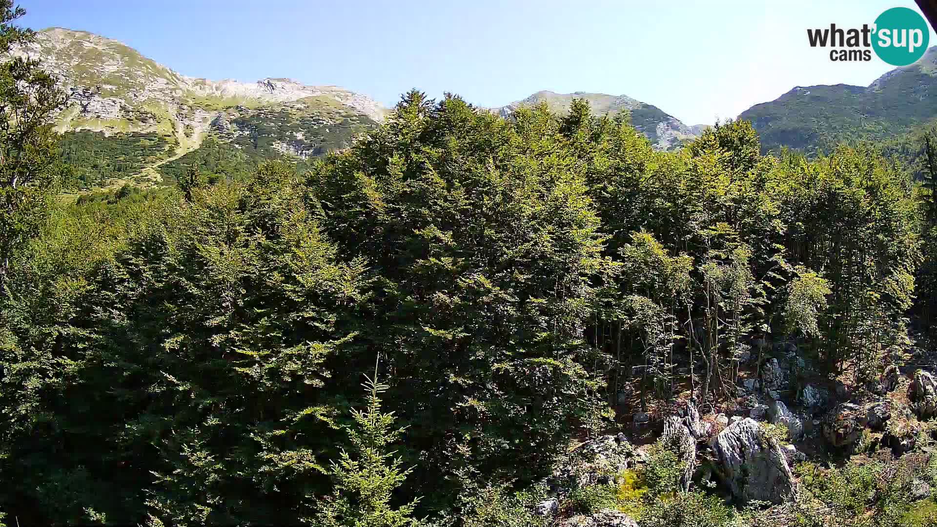 Livecam PLANINA RAZOR (1315) | vue sur Vogel et Globoko