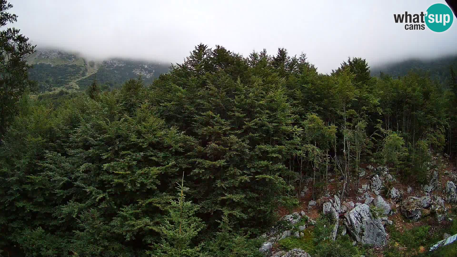 Webcam PLANINA RAZOR (1315) | Blick auf Vogel und Globoko