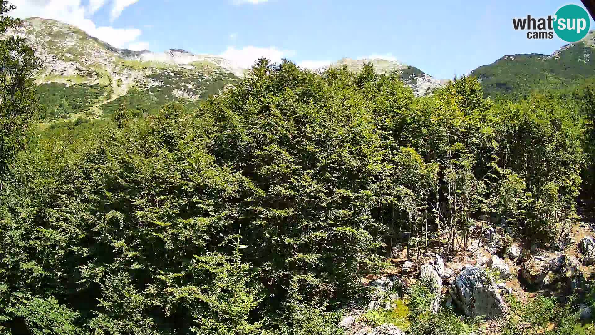 PLANINA RAZOR Live Cam (1315) | vista su Vogel e Globoko