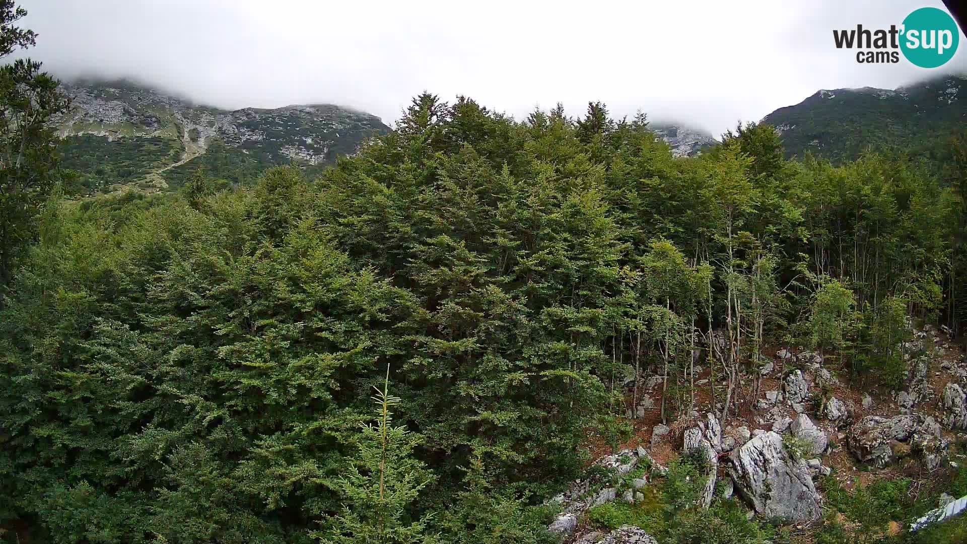 Webcam PLANINA RAZOR (1315) | Blick auf Vogel und Globoko