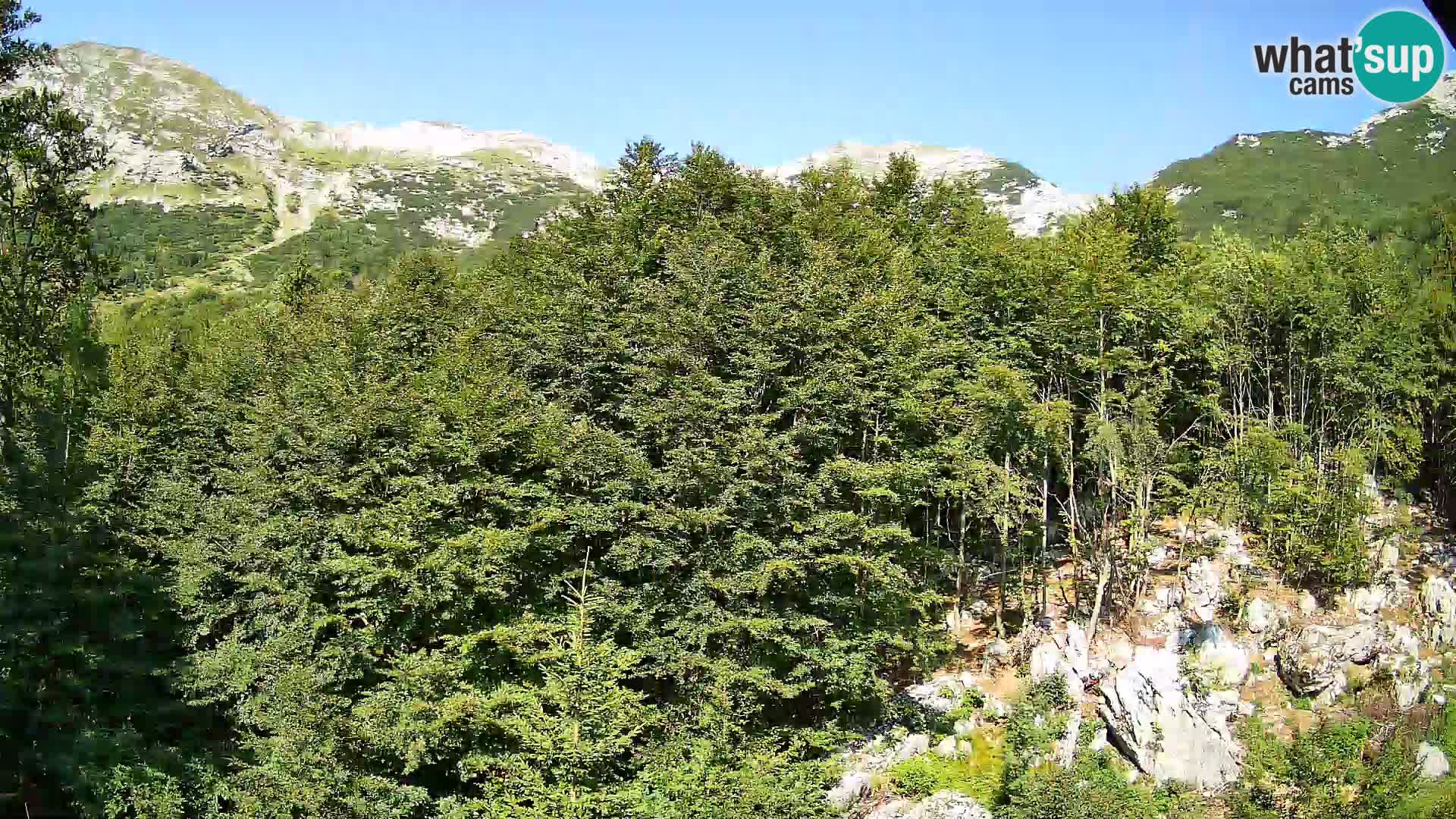 PLANINA RAZOR webcam (1315) | view to Vogel and Globoko