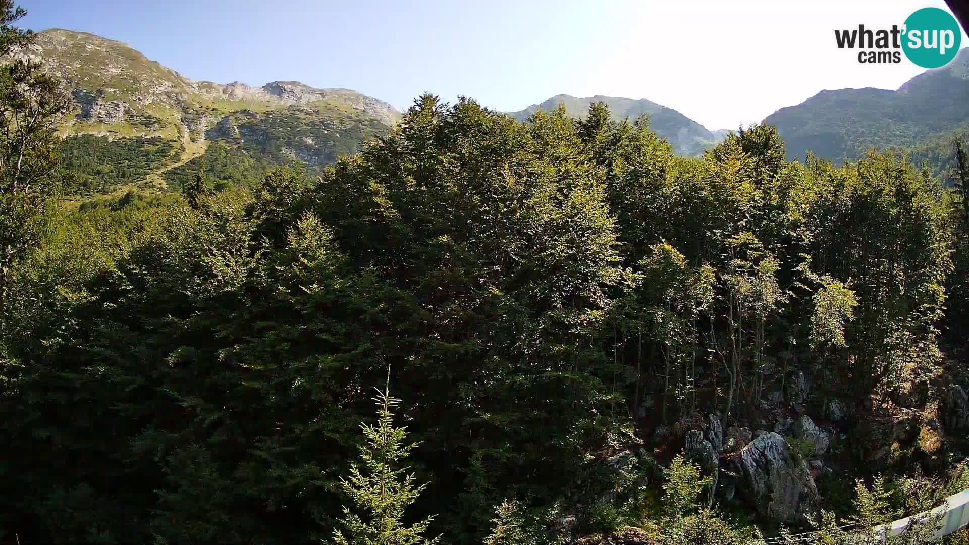 Livecam PLANINA RAZOR (1315) | vue sur Vogel et Globoko