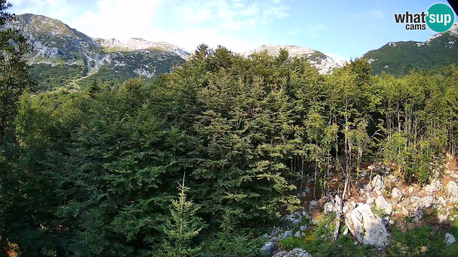 Cámara web PLANINA RAZOR (1315) | vista a Vogel y Globoko