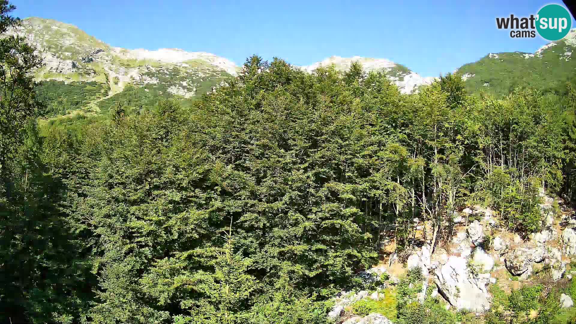 Webcam PLANINA RAZOR (1315) | Blick auf Vogel und Globoko