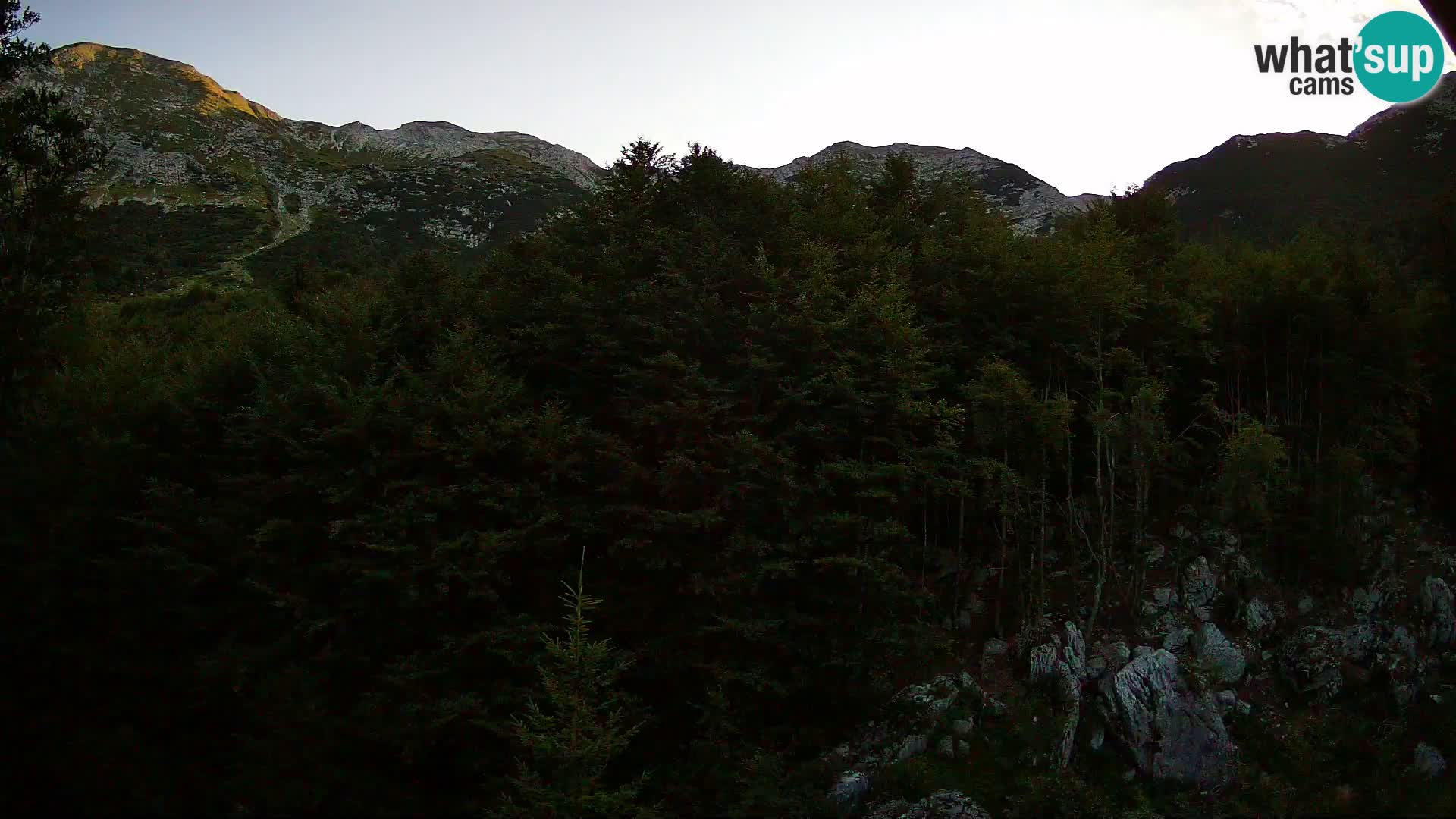 Webcam PLANINA RAZOR (1315) | Blick auf Vogel und Globoko